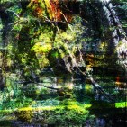 heinrichkoyotedekontamination_neues-format