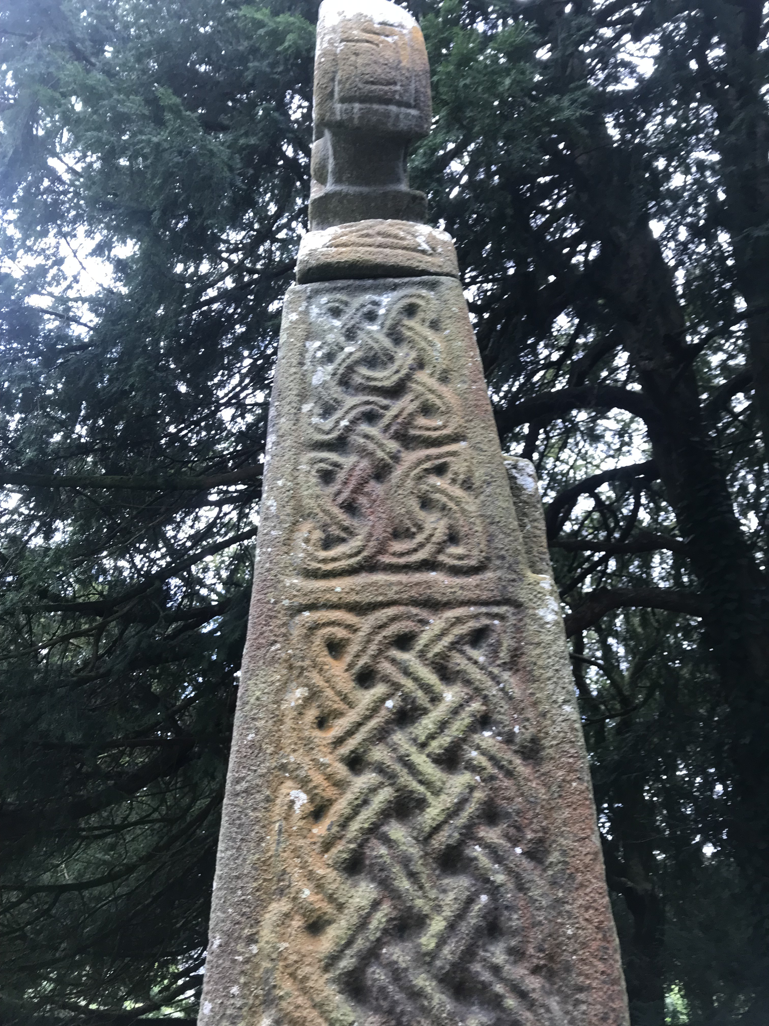 N_Cross of NevernIMG_4318